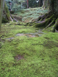 d0130927_162788.jpg