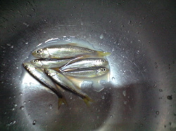 e0002927_21544391.jpg