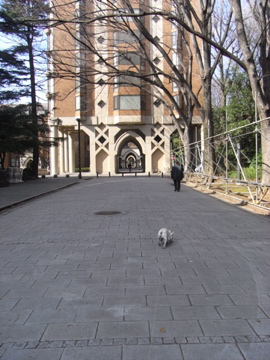 f0192827_21554160.jpg