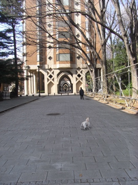 f0192827_21573015.jpg