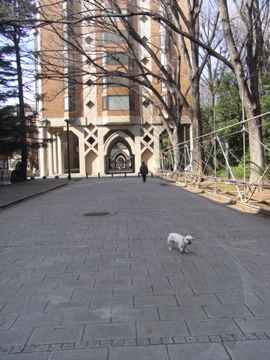 f0192827_21574818.jpg