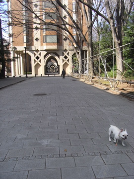 f0192827_2158544.jpg