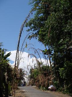 a0120328_1124058.jpg