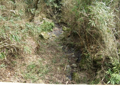 f0009128_1521242.jpg