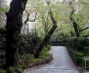 c0051529_1893640.jpg