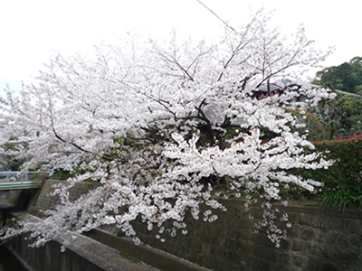 c0125532_16342530.jpg