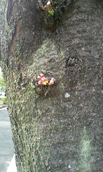 f0034334_13192775.jpg