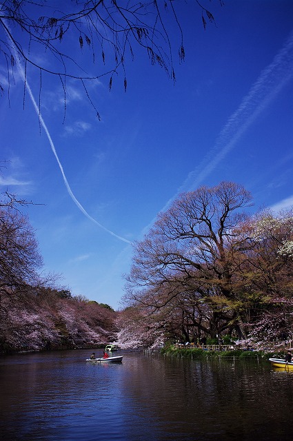 a0009142_13215338.jpg
