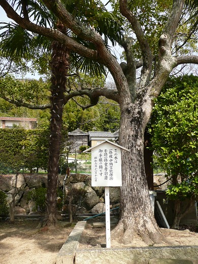 c0057946_2304335.jpg