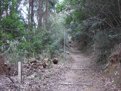 d0138650_21193251.jpg