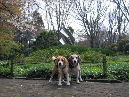 b0005652_12422292.gif