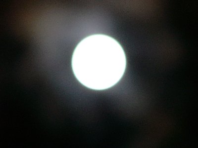 f0175754_7102731.jpg