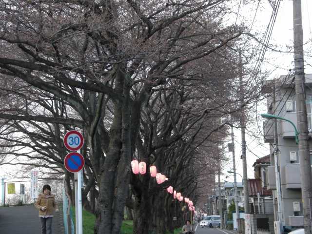 d0132969_1837575.jpg