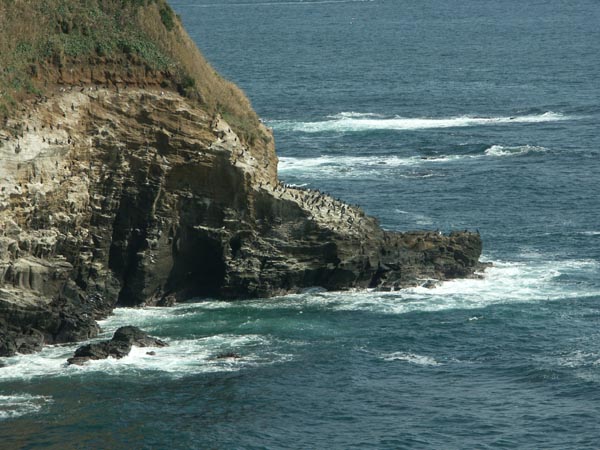 e0164571_14175423.jpg