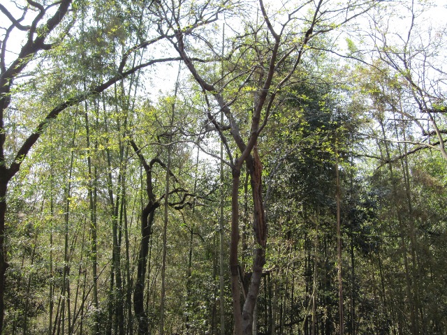 d0038776_21474523.jpg