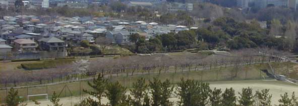 e0126576_1241035.jpg