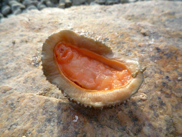 c0160778_2211294.jpg