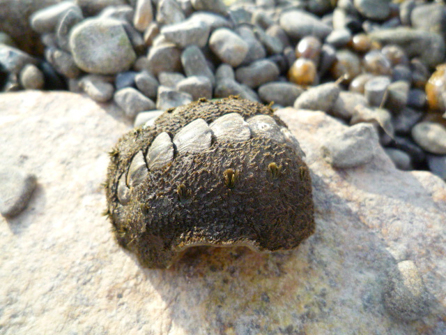c0160778_22135141.jpg