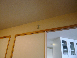 f0018384_2054723.jpg