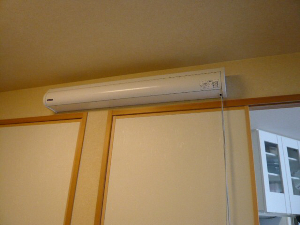 f0018384_2057585.jpg