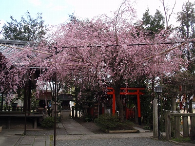 c0105785_941461.jpg