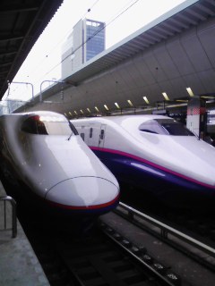 d0066192_8172035.jpg