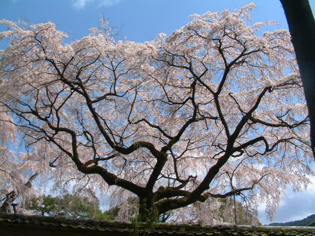 b0044296_22282710.jpg