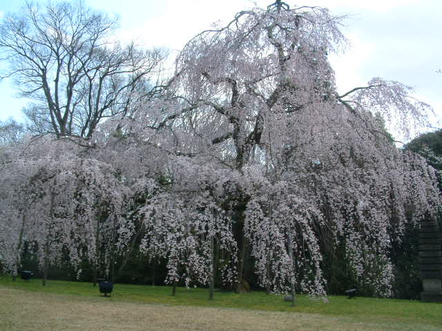 b0044296_2230436.jpg