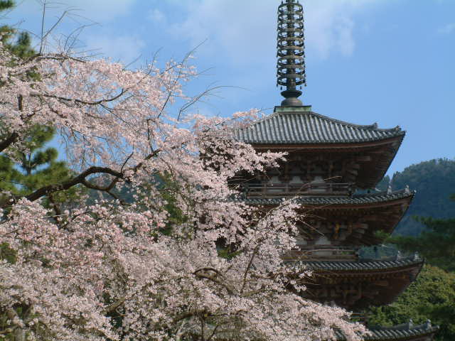 b0044296_22343919.jpg