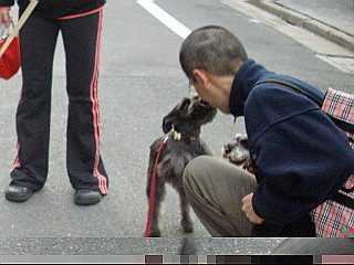 c0138198_15393518.jpg