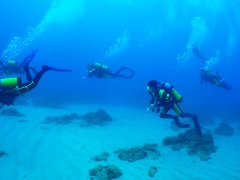 e0023100_14364472.jpg