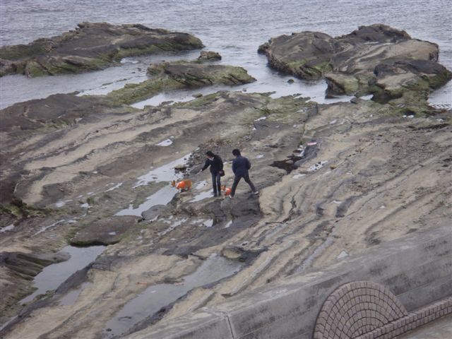 b0122401_1571516.jpg
