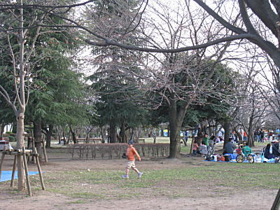 d0046702_10322030.jpg