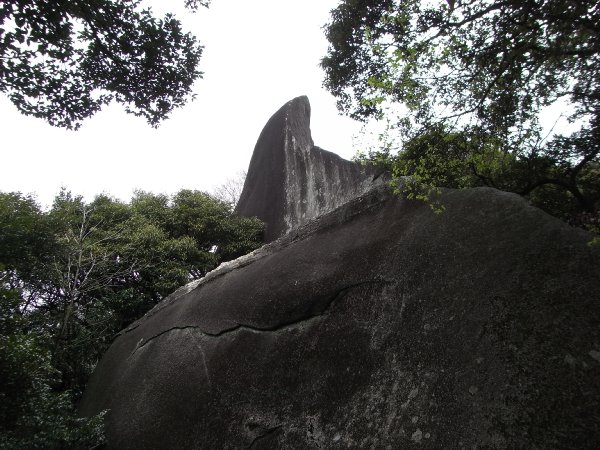 f0187402_2341264.jpg