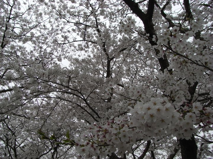 f0187402_23432232.jpg