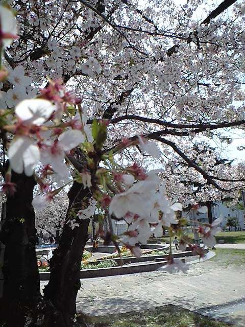 f0092906_20353934.jpg