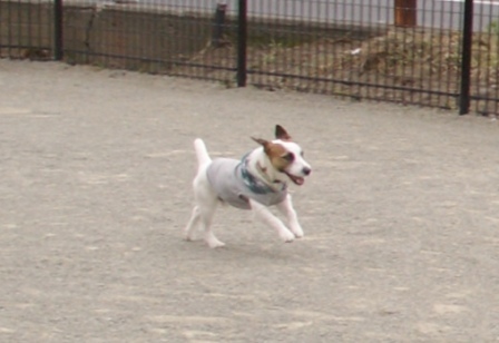 e0078510_14484054.jpg