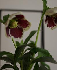 e0120111_22334254.jpg