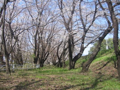 e0033013_22192536.jpg
