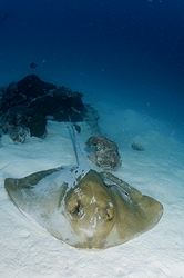 b0155916_22213032.jpg
