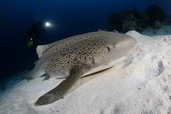 b0155916_22225312.jpg