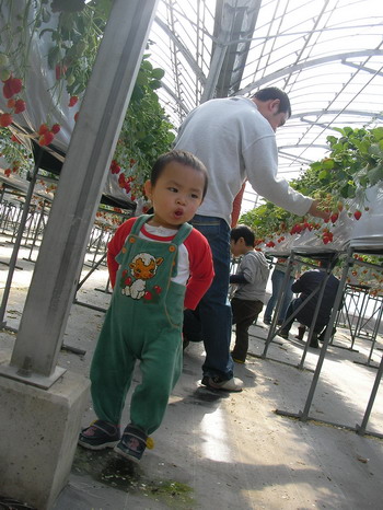 d0004617_1213529.jpg