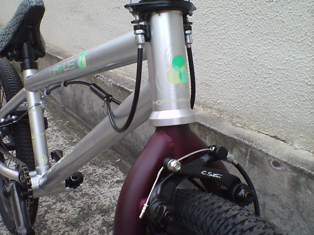 c0100318_12412920.jpg