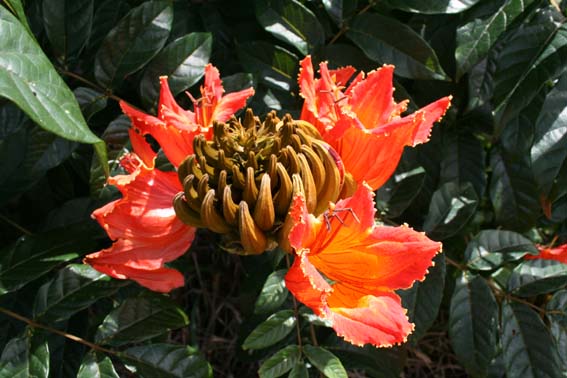 c0131818_8132271.jpg