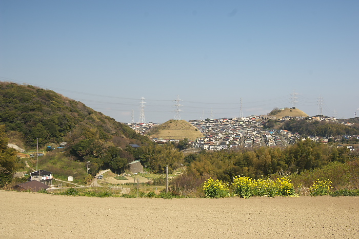 b0042220_203532100.jpg