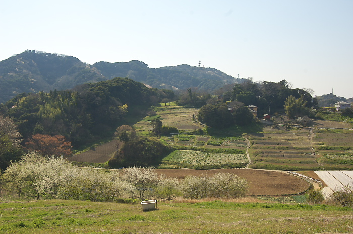 b0042220_2035982.jpg