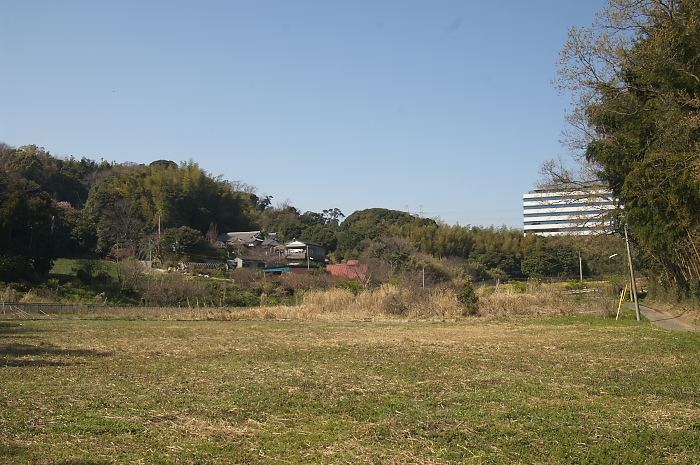 b0042220_20363895.jpg
