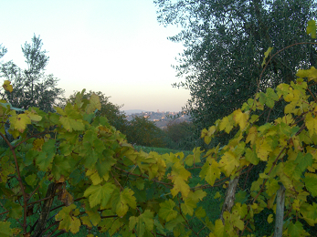 c0086221_20273534.jpg