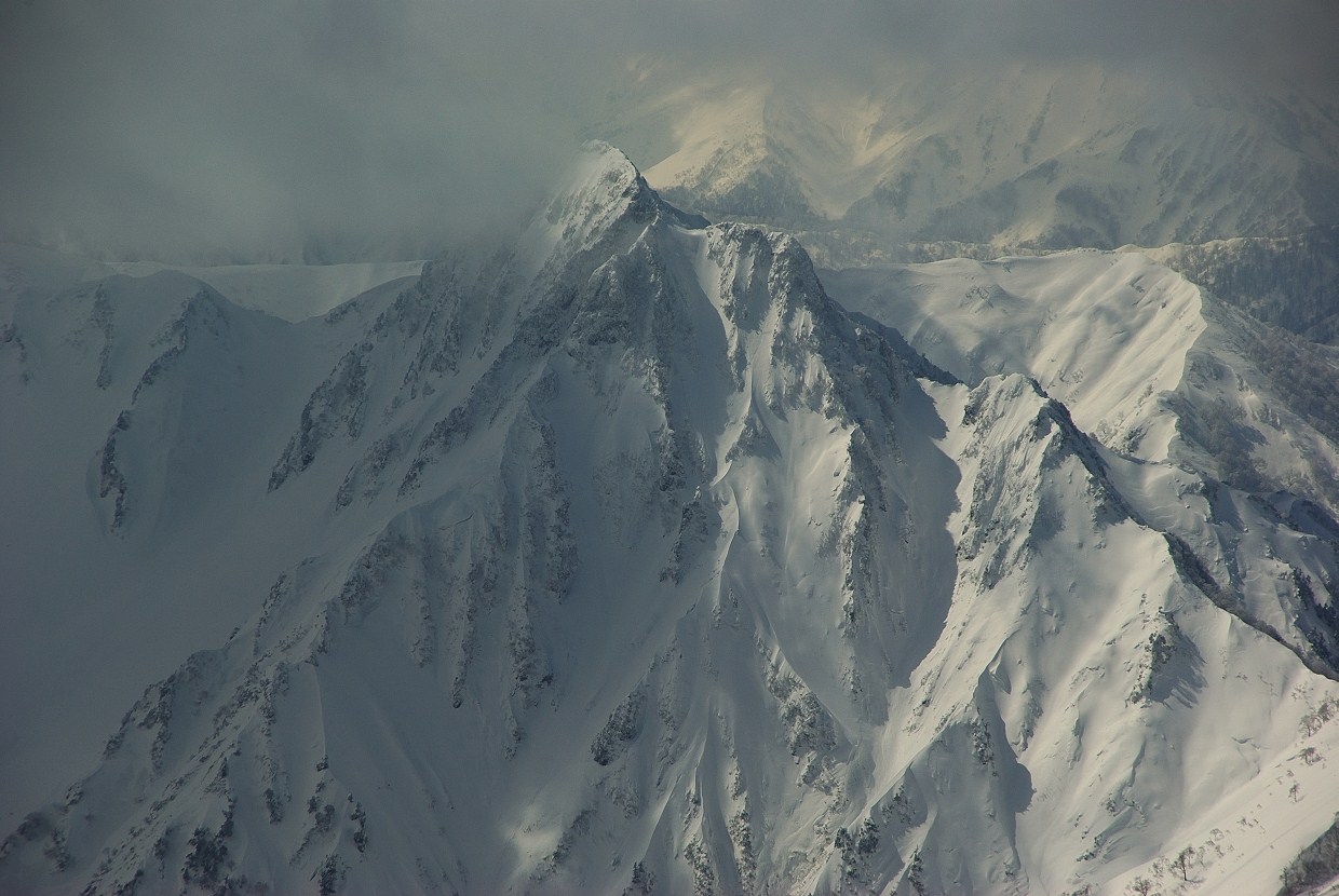 b0062024_2011251.jpg