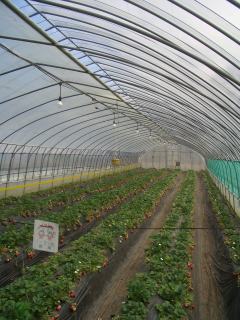 a0024829_16325517.jpg